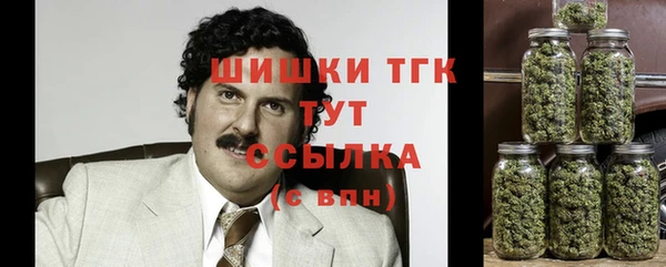 амф Абаза