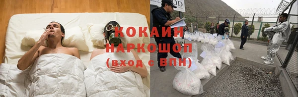СК Алексин